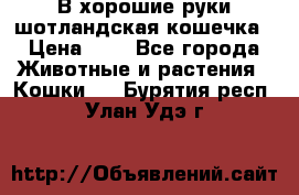 В хорошие руки шотландская кошечка › Цена ­ 7 - Все города Животные и растения » Кошки   . Бурятия респ.,Улан-Удэ г.